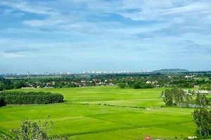 Ngôi làng có 99 con vịt trời luôn ghé thăm vào tháng 9