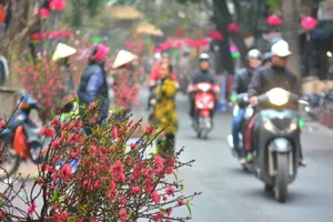 Rưng rưng nhớ vị Tết Bắc trên đất phương Nam