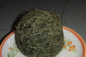 Mổ lợn 100kg, phát hiện vật nghi cát lợn quý giá