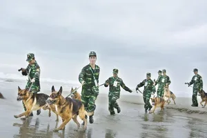 Chuyện về những 'chiến sĩ' cảnh khuyển 