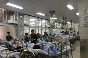 Các bệnh viện giảm hẳn tai nạn giao thông do ‘ma men’