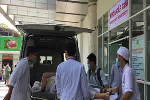 Thông tin mới vụ cây đổ, đè nhiều học sinh ở TP.HCM