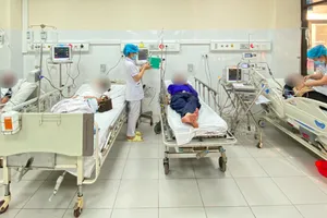 Đang chơi ở bìa rừng bất ngờ bị đàn ong khoái khổng lồ tấn công 