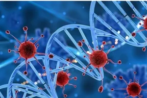 Không ít người mắc phải những sai lầm trong điều trị bệnh ung thư. Hình minh họa