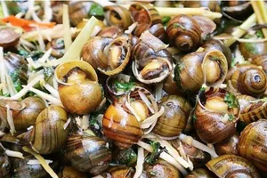 Bị bệnh gút có ăn ốc được không?