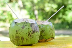 Sốt xuất huyết không được uống nước dừa?