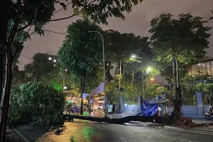 Cây xanh bật gốc ở trung tâm TP.HCM: Bé gái đa chấn thương, dập phổi