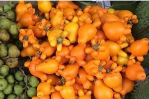 Trái dư có độc nguy hiểm đến mức nào?