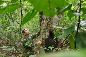 Chuyện về cụ ông 70 tuổi có tên được đặt cho một loài cây