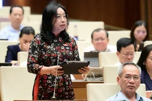 Đại biểu Quốc hội: 'Thị trường thật giả lẫn lộn, chỉ có hàng giả là thật'