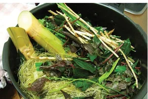 Uống nước mía lau, mã đề có làm tan sỏi thận?