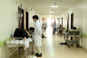 TP.HCM: Gần 70 người nghi ngộ độc sau ăn bánh mì ở phường Phú Mỹ