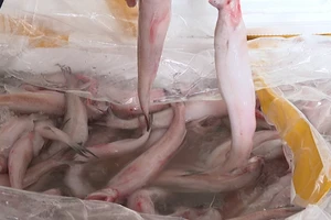 Điều gì xảy ra nếu ăn phải cá khoai tẩm formol cực độc?