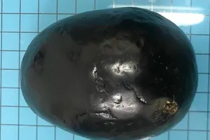 Cặp đôi giả ngất, bán 'thiên thạch' giá tỉ USD 