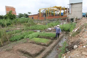 VKSND Tối cao giải đáp nhiều vướng mắc khi giải quyết tranh chấp đất đai