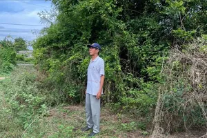 VKSND Tối cao ra trả lời người dân vụ xin kháng nghị vì 'có khả năng tranh chấp nhầm đất'