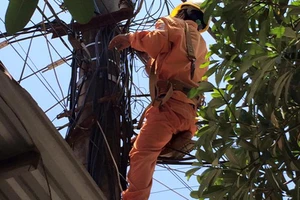 Phát quang lưới điện, một công nhân tử vong