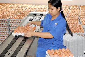 Hội trường cười ồ với quy định 'đếm trứng thu phí'