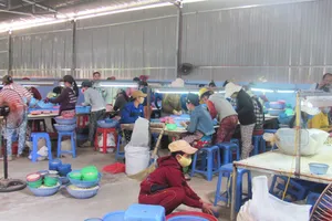 Tỉnh ủy Phú Yên vào cuộc vụ vợ bí thư huyện cho thuê đất trái phép