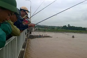 Đổ xô đi câu hàng trăm tấn cá bị sổng trên sông Kinh Thầy