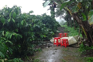 Vụ thảm án Gia Lai qua lời kể trưởng công an xã