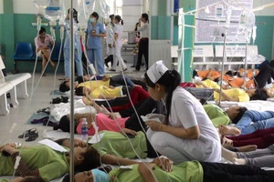 Ngộ độc thực phẩm làm chết 20 người