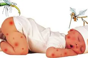 Việt Nam sắp có vaccine phòng sốt xuất huyết