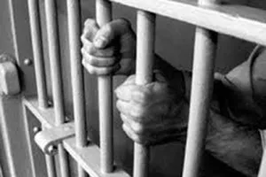 Đề nghị cấp giấy chứng nhận cho các luật sư vụ Đỗ Đăng Dư