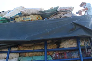 Xe tải chở hơn 9 tấn xương động vật có giòi