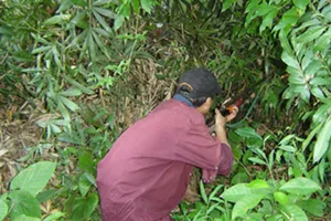 Đi săn, bắn bạn tử vong vì tưởng là… khỉ