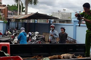 Nghi can trộm chó tử vong sau khi bị bắt đưa về công an