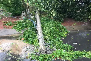 Tây Nguyên đang hứng bão số 12