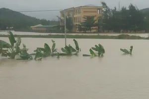 Quốc lộ 1 qua Quảng Ngãi chia cắt, nhiều nơi ngập sâu