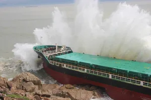 Thảm họa chìm tàu bão số 12 ở Quy Nhơn, do đâu?