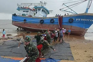 Cảng vụ Quy Nhơn thông tin lý do nhiều tàu bị chìm