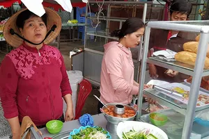 Dân Cà Mau tránh bão số 16 đã trở về nhà