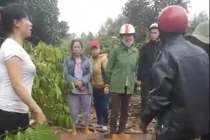 2 thanh niên bị điện giật tử vong