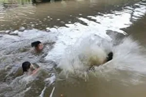 Nhóm sư cô tắm biển Long Hải, 2 người mất tích