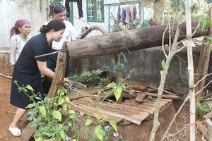 Nước giếng bỗng dưng nóng đến 70 độ