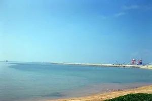 Công bố nguyên nhân cá lồng bè chết hàng loạt tại Vĩnh Tân