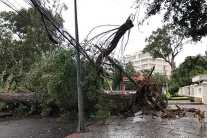 Bão vào Vũng Tàu, mưa to hoành hành khắp miền Nam