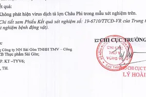 Thú y kết luận thịt heo thảo mộc Sagri an toàn