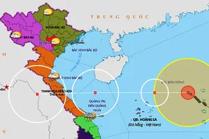 Tin mới nhất về bão số 8