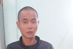 Vào vườn đào trộm 2 cây mai