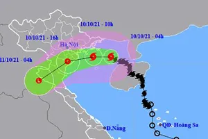 Tâm bão số 7 giật cấp 10 đang cách Hải Phòng 130 km