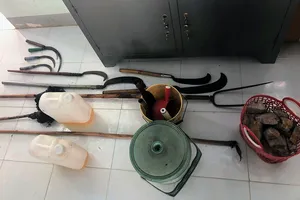 Tạt xăng, dầu định đốt công an, cán bộ xã thì bị bắt