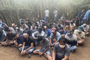 Chủ sới bạc phát lau sậy, tổ chức đá gà ở Bình Chánh