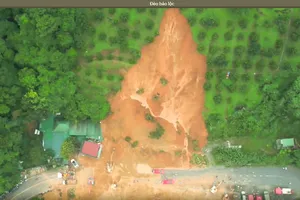 Đồi sầu riêng phía sau chốt CSGT bị sạt phần lớn là đất lâm nghiệp