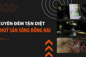 VIDEO điều tra: Đổ thuốc trừ sâu xuống sông Đồng Nai bắt tôm -Kỳ 1- Xuyên đêm tận diệt thủy sản 