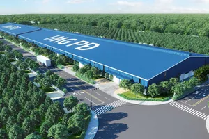 Tranh cãi hợp đồng san lấp thanh toán bằng quyền sử dụng đất